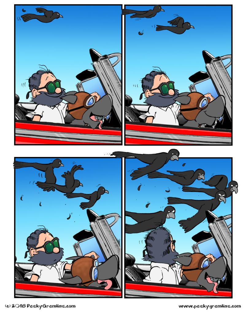 Grackle Gathering