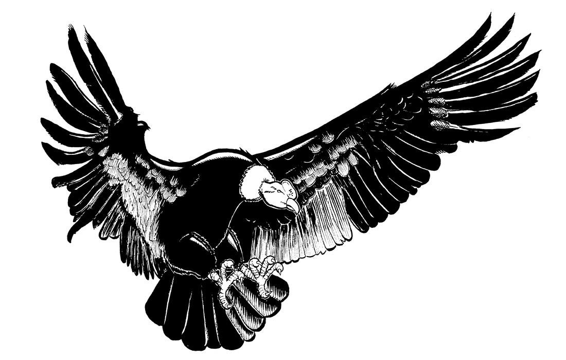 Jonny Quest, Shdow of the Condor, Condor