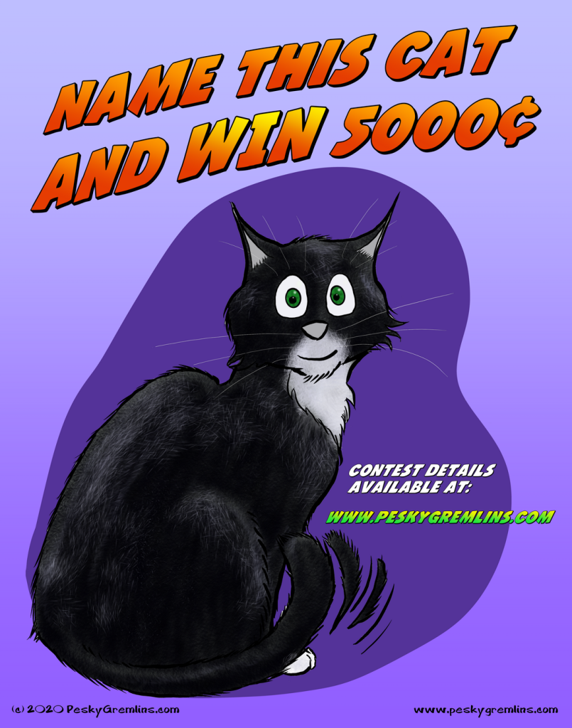 Name the Cat