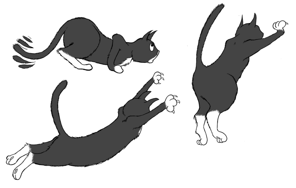 Trouble cat character sheet