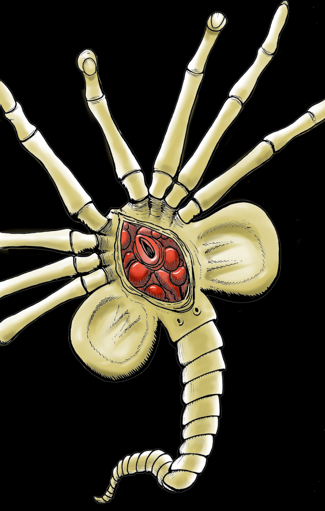 Alien Face Hugger illustration