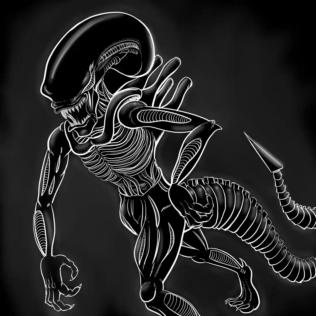 Alien Xenomorph